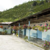 Kolumbie Don Pablo - Image 5