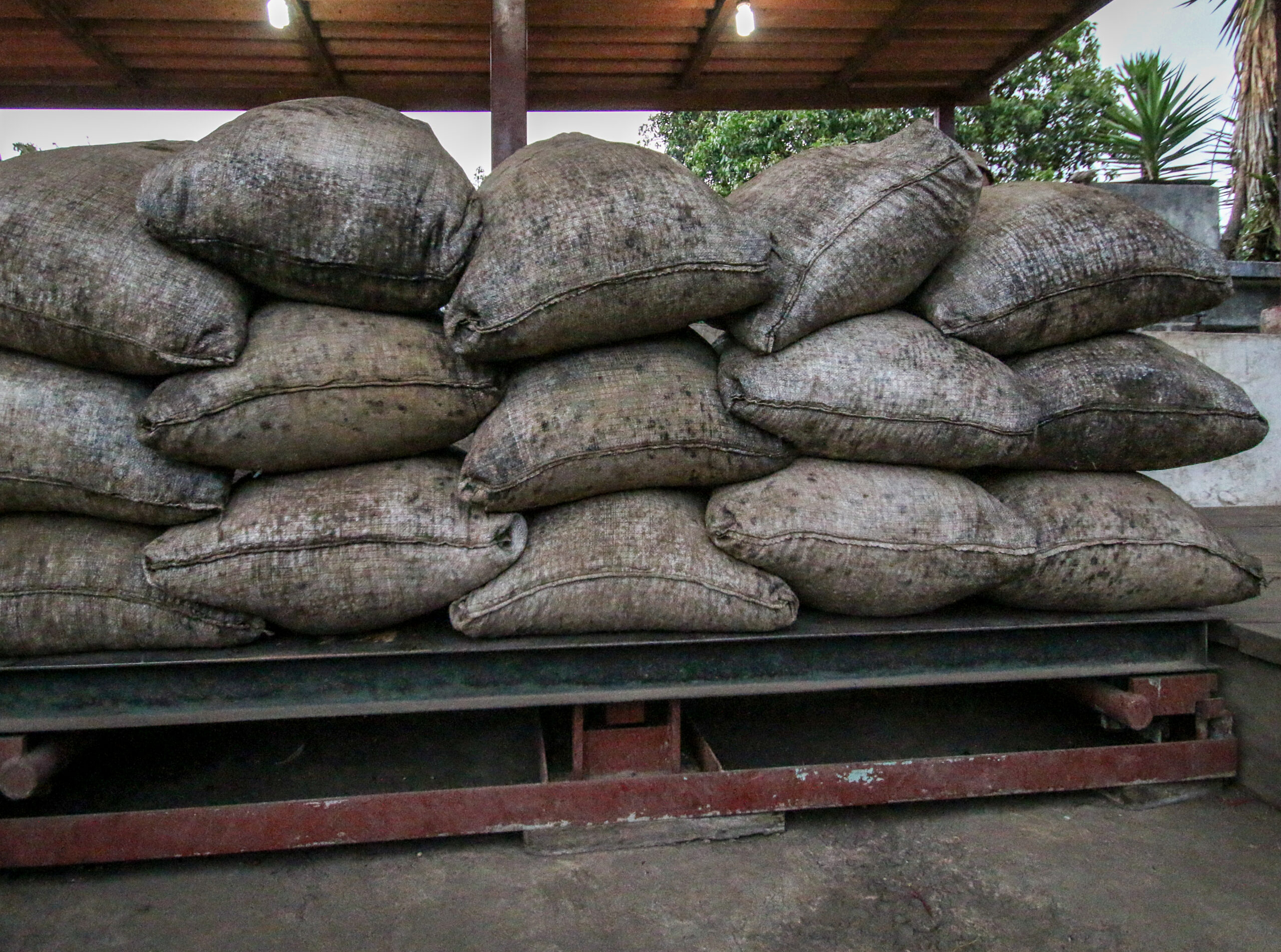 Guatemala Nuevo Oriente - Obrázek 6
